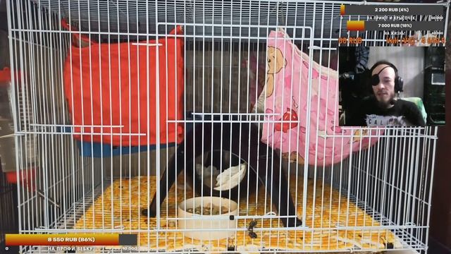 Саморазвитие Сегодня