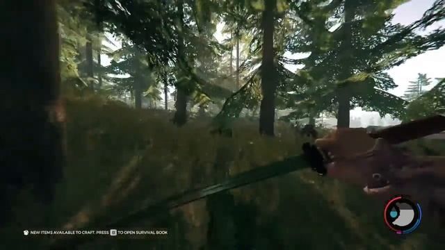The Forest Part 2: Save the turtles смотреть онлайн