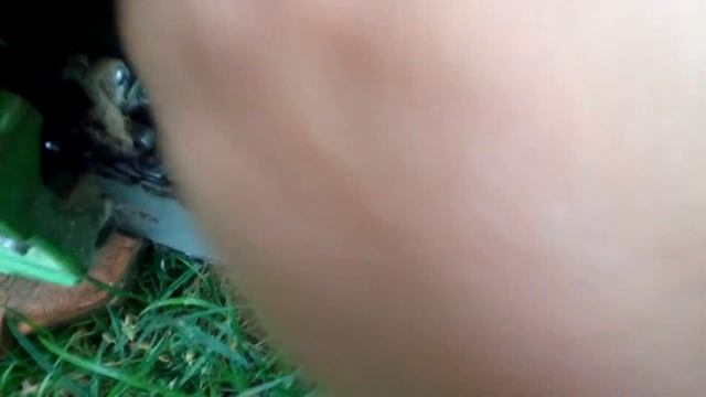 Как избавиться от кротов в саду, на огороде# How to get rid of moles in the garden and the garden смотреть онлайн