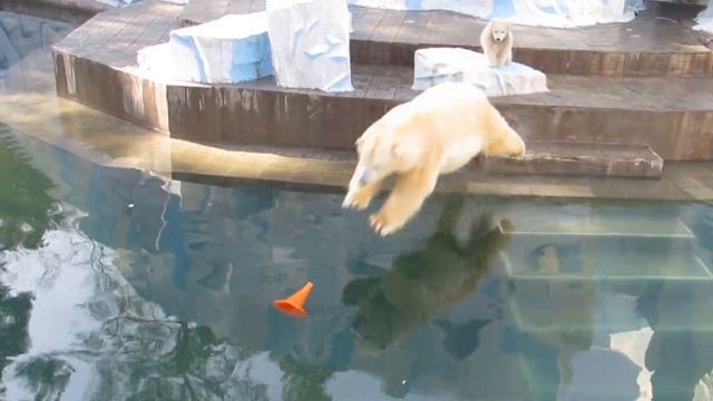 Малышу нужно внимание, а Герде конус 19.04.16 смотреть онлайн