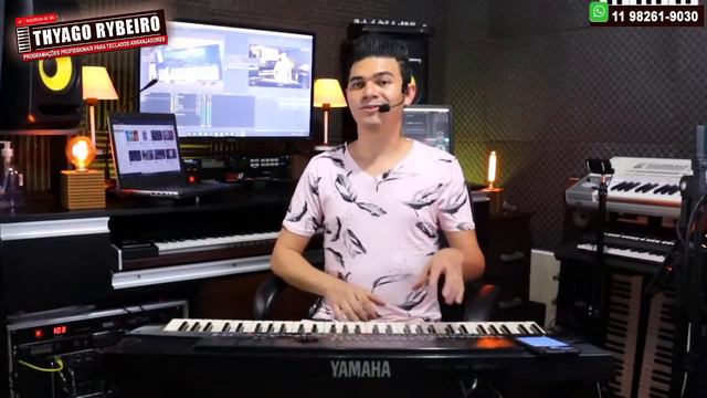 PSR510 YAMAHA - MOMENTO RETRÔ - TESTE SOUNDS/STYLES By Thyago Rybeiro смотреть онлайн