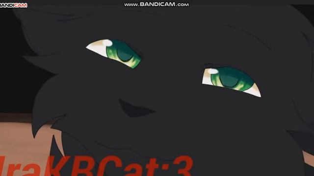 Коты Воители:День ,Ночь (читай описание) смотреть онлайн