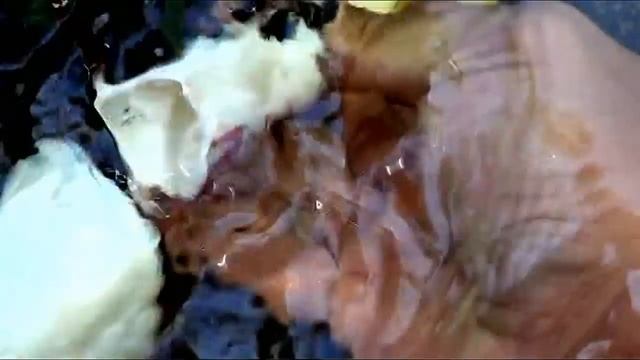 diy venturi low presure or high only $2.00 hack смотреть онлайн
