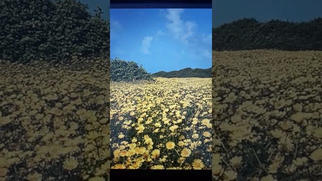 Тутси - диеты и путешествия