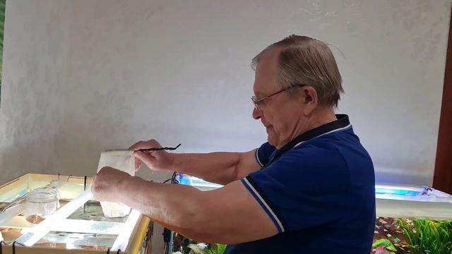 #19 Ландшафтный дизайн. И бонусом - лайфхак из прошлого / Аквариумистика с Геннадием Посейдонычем смотреть онлайн