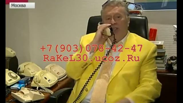 Видео поздравление Жириновского смотреть онлайн