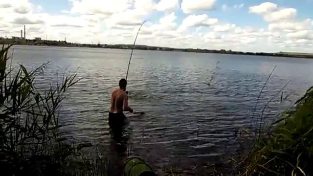 Амур Курчатовское водохранилище 12.06.2016 г. смотреть онлайн