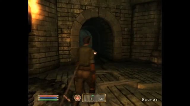 Elder Scrolls IV: Oblivion part 6: Not the Sewers again смотреть онлайн