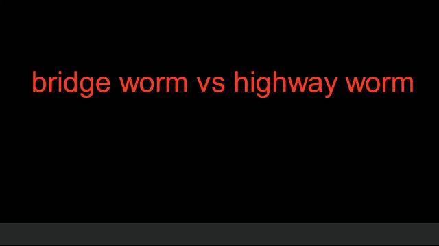 bridge worm vs highway worm trailer смотреть онлайн