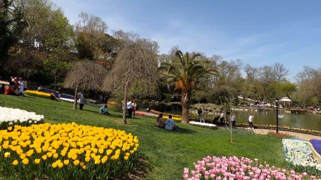 ISTANBUL 2022 Emirgan Park Tulip Festival Walk Tour| 4K UHD смотреть онлайн