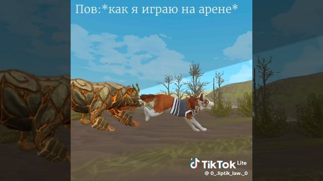 Типичная я на арене Видео не мое смотреть онлайн