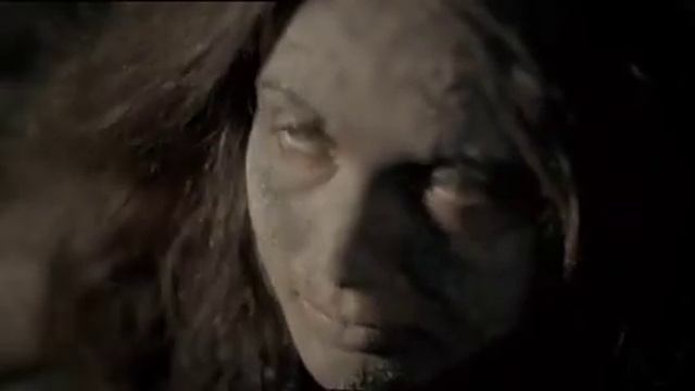 LION NATHAN AUSTRALIA TOOHEYS EXTRA DRY BIRDS VS HUMANS AUSTRALIA смотреть онлайн