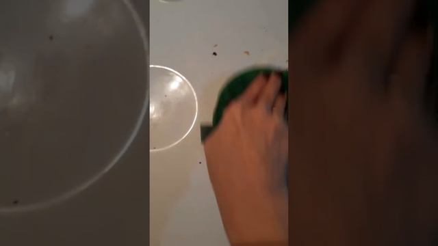 Диск Инволвер Green Fiber HOME S2, паста BioTrim Mystik , порошок BioTrim Mystik. смотреть онлайн