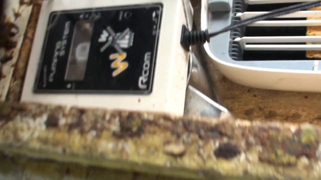 Вывод маток с помощью инкубатора смотреть онлайн