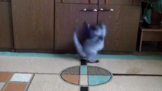 куда? ну я так не играю. смотреть онлайн