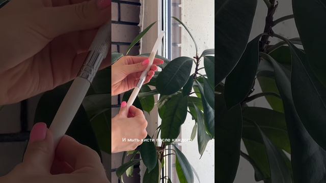 Элементарно, но очень важно! Inst: marco_juliaaa смотреть онлайн