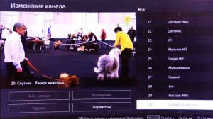 Редактирование спутниковых каналов на телевизоре SAMSUNG