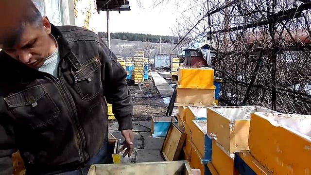 УЛЬЯ ИЗ ПОЛИСТИРОЛА ПЛЮСЫ И МИНУСЫ смотреть онлайн