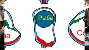 С. Савельев. Как устроено зрение