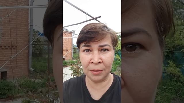 Что такое просветление?)