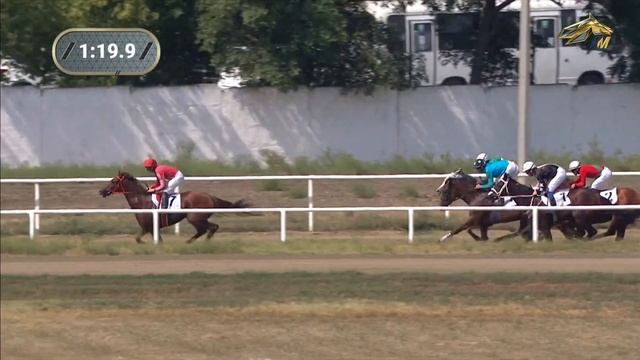 5-я Скачка. ПРИЗ ЗВЕЗДА ЮГА РОССИИ (Именной по приглашению).Краснодарский ипподром 02.09.2023 смотреть онлайн