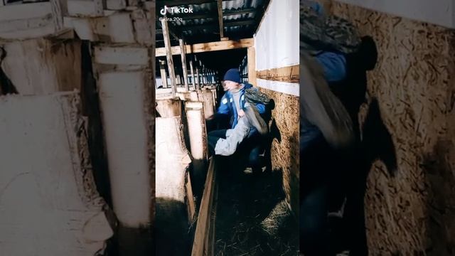 Приколы из Тик Тока смотреть онлайн