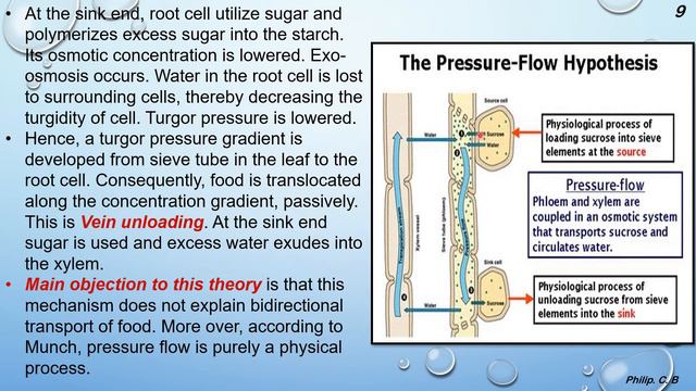 Class 12th | Plant Water Relation Ch-6 P-3 🌳🌿🍃💧🥏 смотреть онлайн