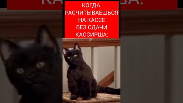 КОГДА ОПЛАТИЛ ПОКУПКУ БЕЗ СДАЧИ ЖИЗА смотреть онлайн