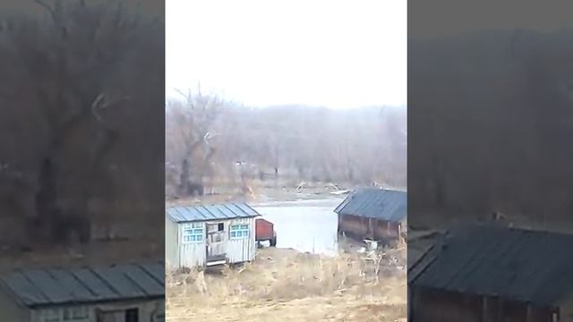 Село Огни Усть-Калманский район Алтайский край смотреть онлайн