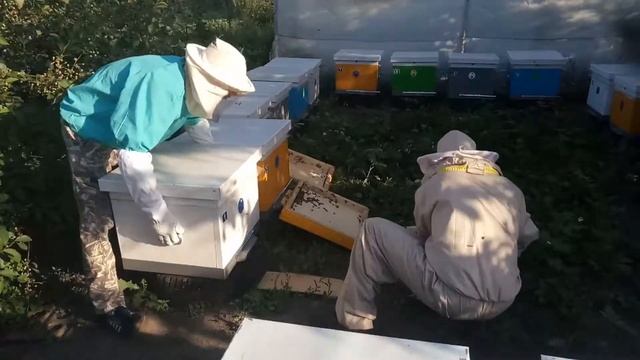 Меняем глухие донья на донья с сеткой смотреть онлайн