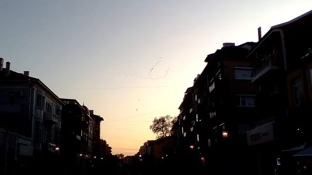 Птицы летят на зимовку в Варну) смотреть онлайн