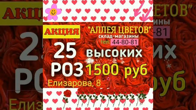 Цена за 1 штуку в Тюмени при продаже 51 розы в букете смотреть онлайн