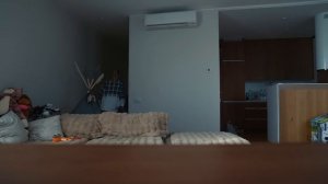 24 часа ИГНОРЮ СВОЮ БЕРЕМЕННУЮ ЖЕНУ