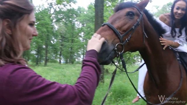 Съемка фотосессии с лошадьми BACKSTAGE смотреть онлайн
