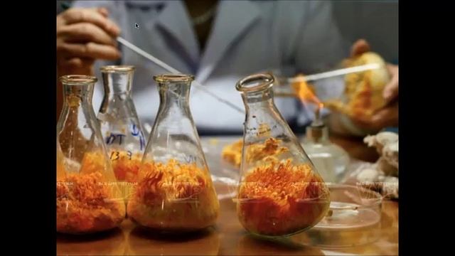 Wellness Webinar by Dr. Savera - Cordyceps смотреть онлайн