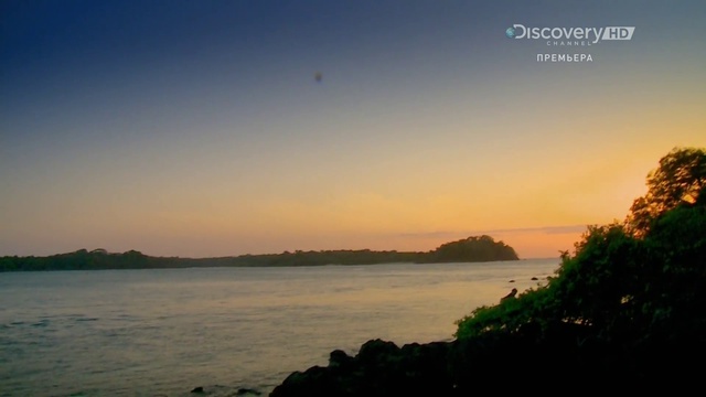 Ostrov.s.Bearom.Grillsom.3.seria.by.Bad.Coder