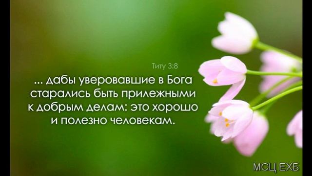 "Здоровая духовная пища". А. Н. Оскаленко. Проповедь. МСЦ ЕХБ. смотреть онлайн