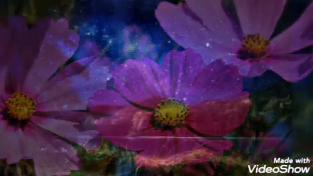 Поздняя любовь.... смотреть онлайн