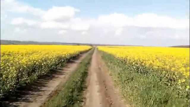 КОЛОКОЛЬЧИК... исполняет Юрий Оленич смотреть онлайн