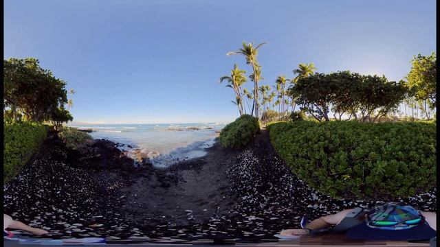 360 Virtual Reality (VR) TOUR: Beach Walk of Pauoa Bay, Hawaii near Fairmont Orchid (With Turtle!) смотреть онлайн
