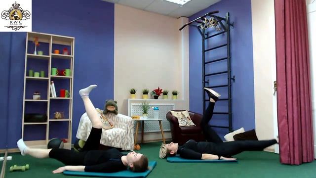 Анонс нашего курса смотреть онлайн