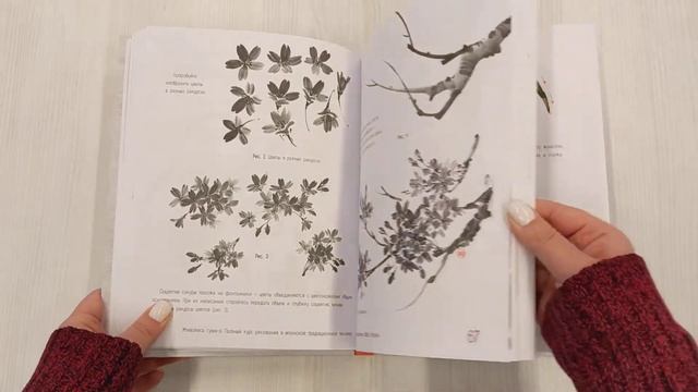 Живопись суми-э. Полный курс рисования в японской традиционной технике смотреть онлайн