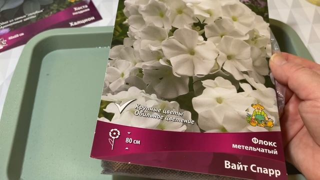 Как сохранить розу и корневища хосты, флоксов из коробок до весны!