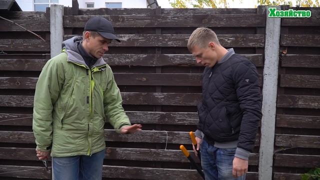 Как омолодить (обновить) старый куст смородины?! смотреть онлайн