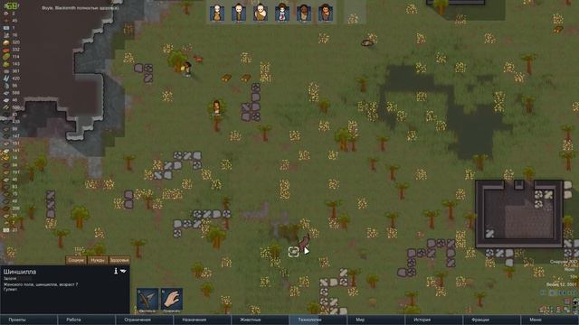 RimWorld - alpha 16 ►За животиной ►ч.20►Прохожение - выживание смотреть онлайн