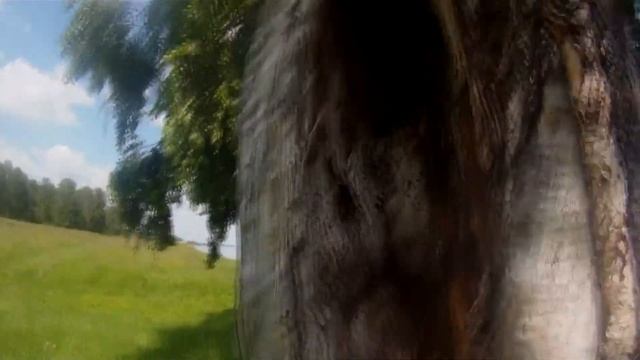 Берег Обского моря. Прогулка в районе поселков Спирино и Кирза. Siberia смотреть онлайн