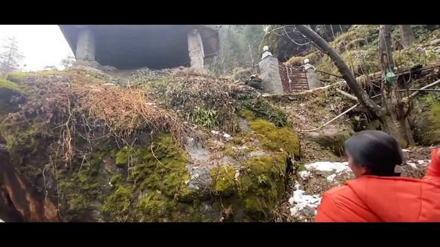 Finding SNOW in MANALI with my FAMILY !! ( @triggeredinsaan @WanderersHub ) #Vlog-02 смотреть онлайн