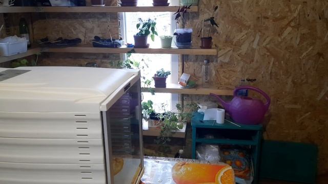 Просто и вкусно / Куриные Джерки в дегидраторе OBERHOF смотреть онлайн