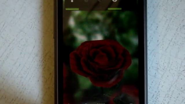 3D Rose Live Wallpaper Free смотреть онлайн
