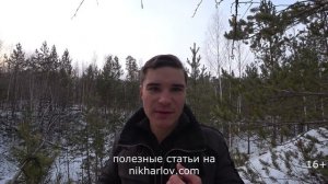 Переедание белка на Карнивор! Пропорция Белок : Жир на Кето. Железо и красное мясо.